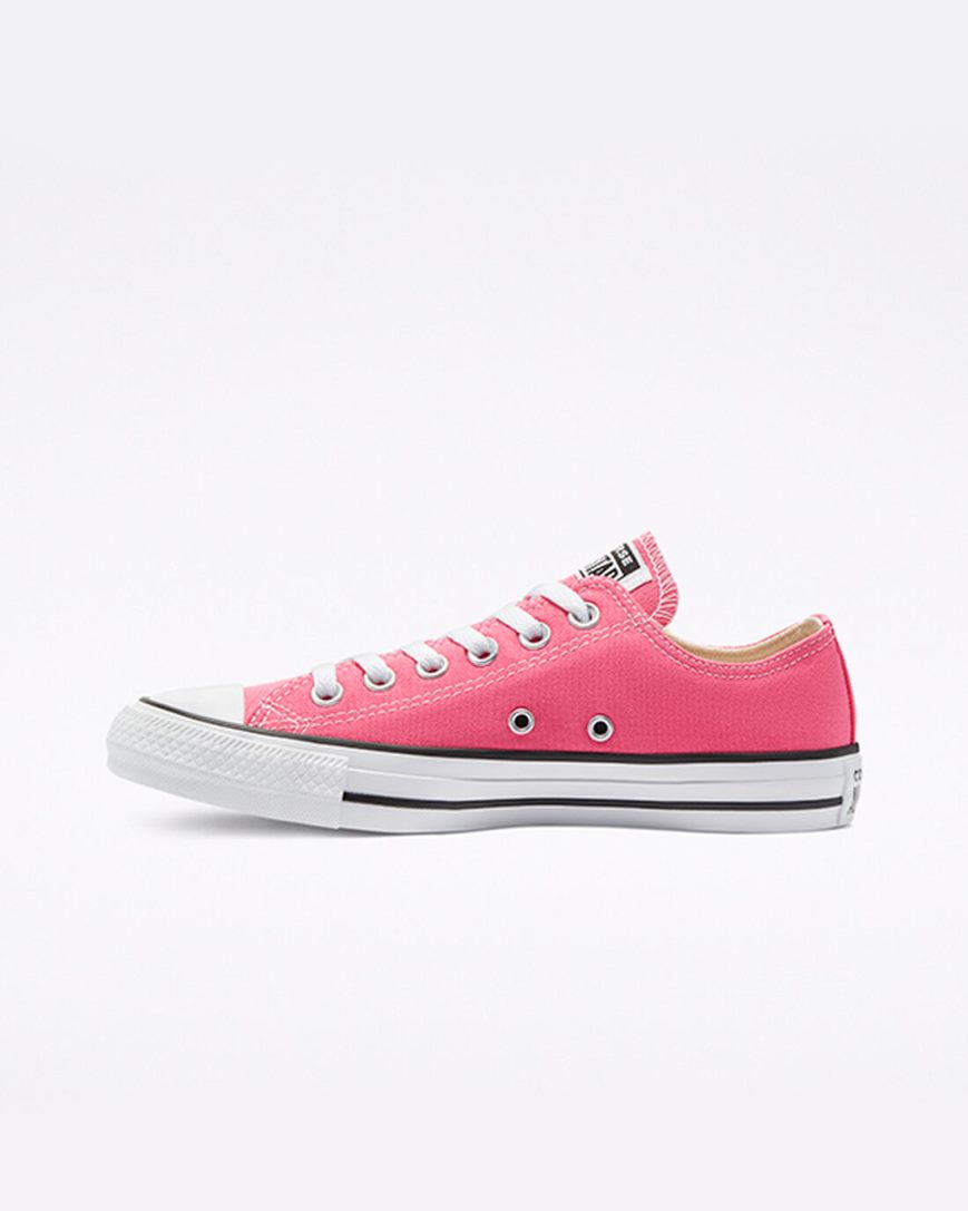 Men's Converse Chuck Taylor All Star Classic Low Top Shoes Pink | AU 91E3CY